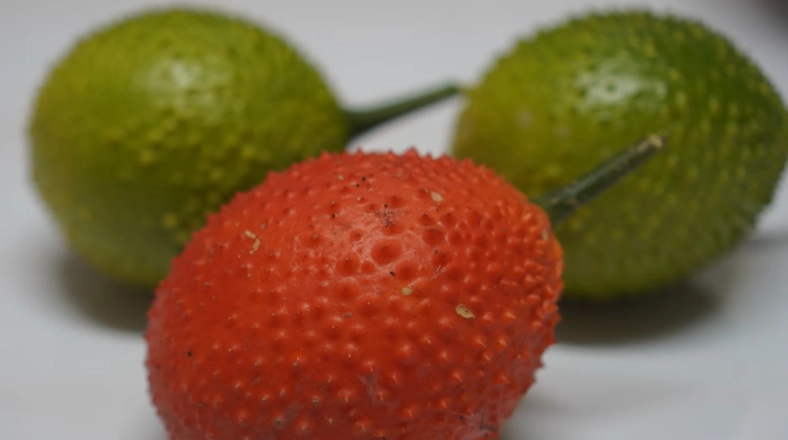 木鱉果過敏反應