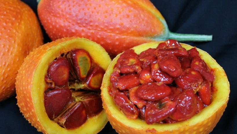 木鱉果眼睛功效