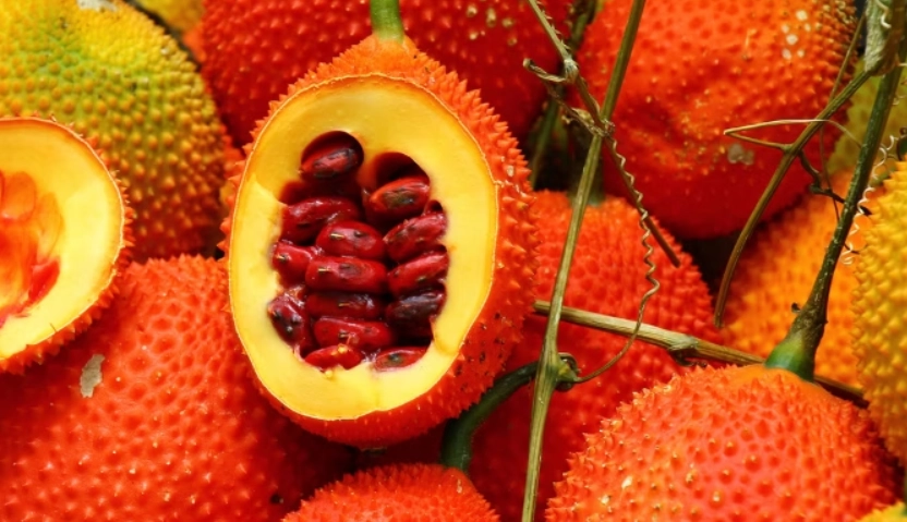 木鱉果視力保健