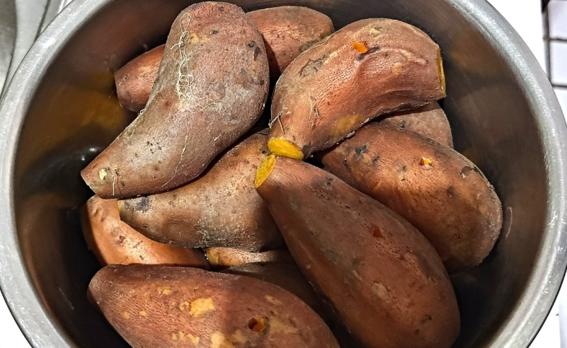 大同電鍋蒸地瓜時間 大同電鍋蒸地瓜時間