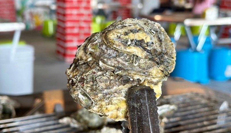 台南烤蚵吃到飽