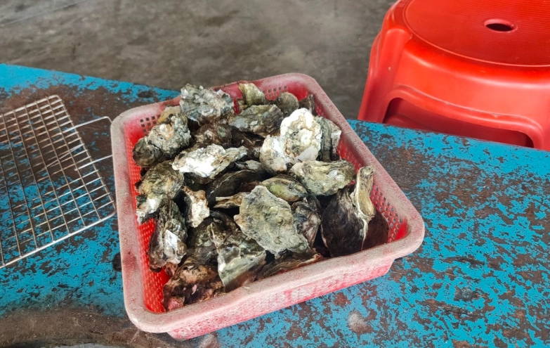 烤蚵吃到飽體驗