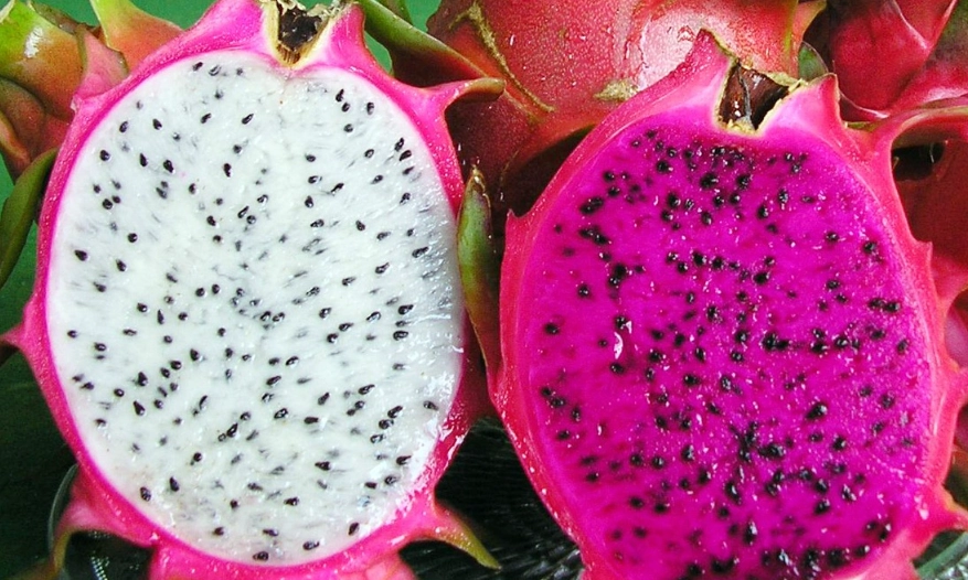 火龍果食用時間