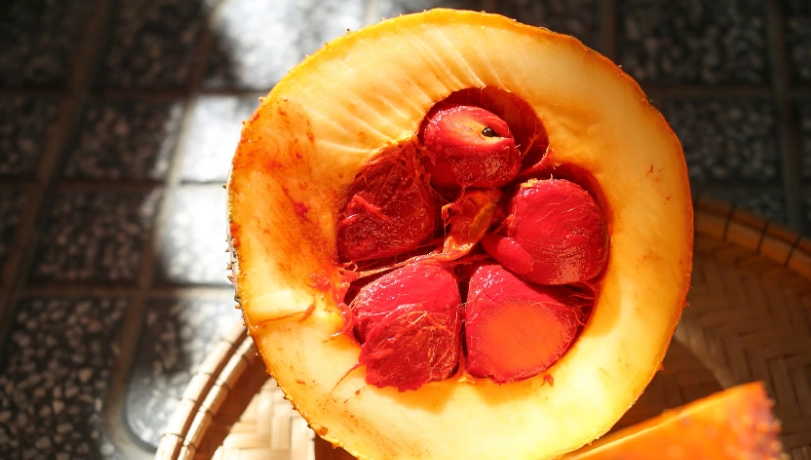 誰不能吃木鱉果