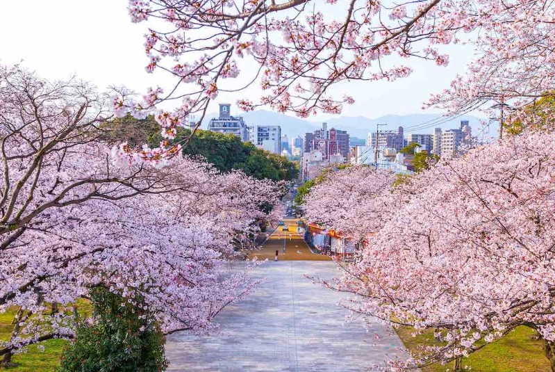 福岡自由行攻略