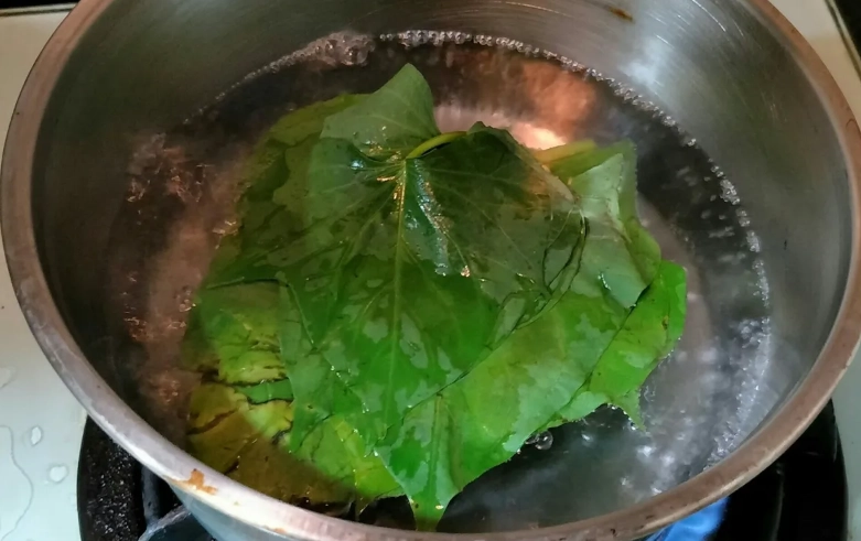 綠拿鐵製作技巧