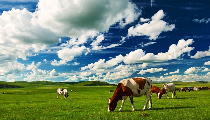 內蒙古自由行攻略