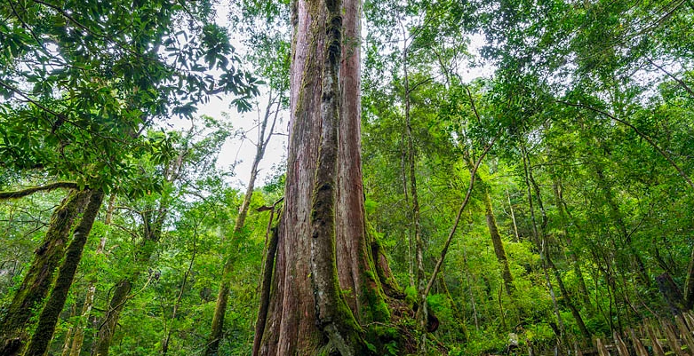 尖石溫泉周邊旅遊
