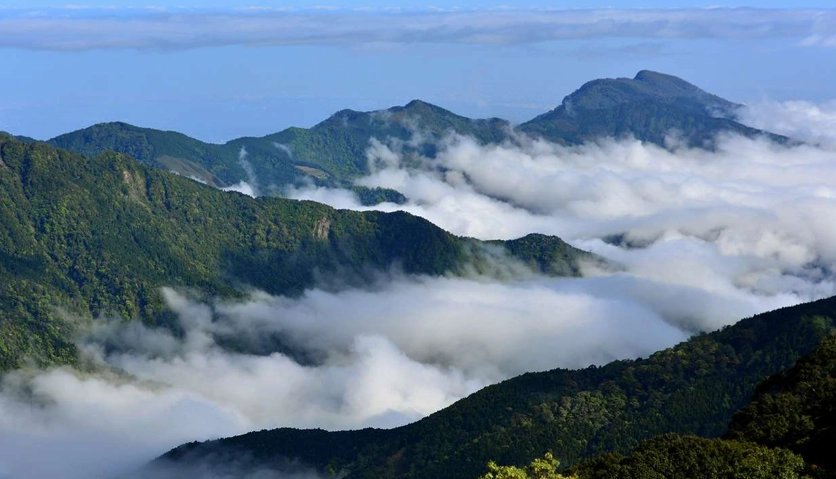 觀霧一日遊 觀霧一日遊