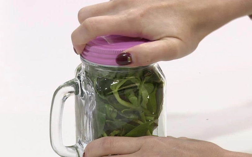 九層塔保存方法