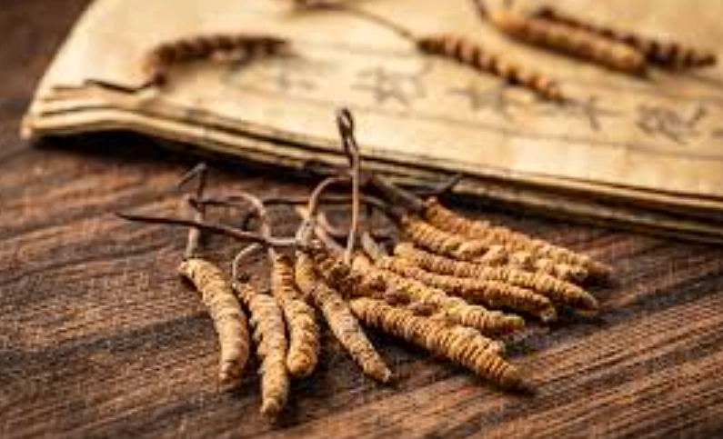 中藥補元氣推薦