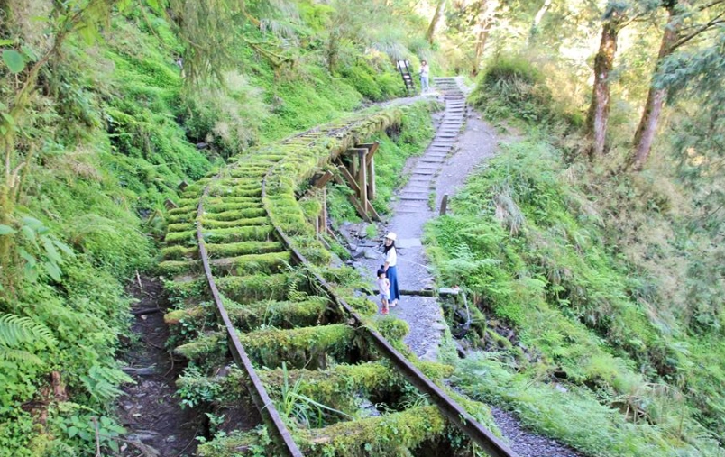 太平山森林遊樂區交通