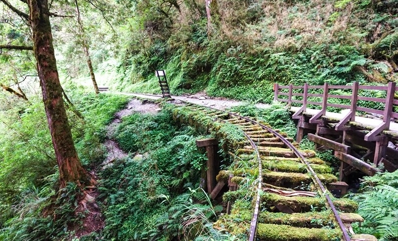 太平山旅遊行程
