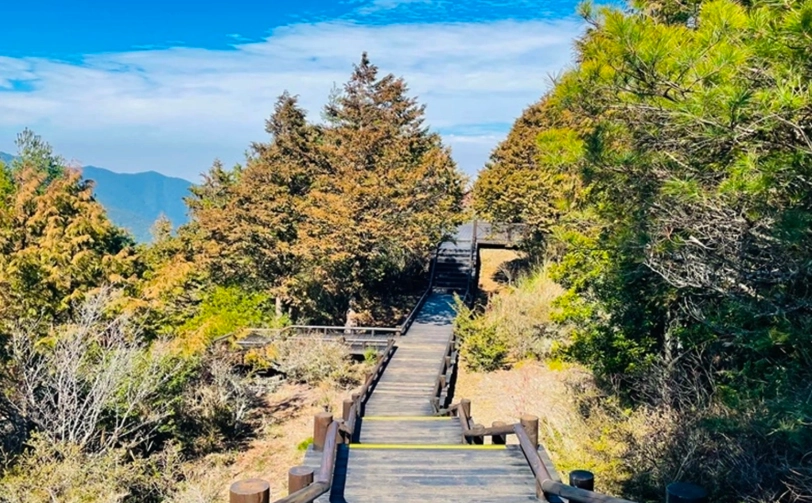觀霧一日遊 觀霧一日遊