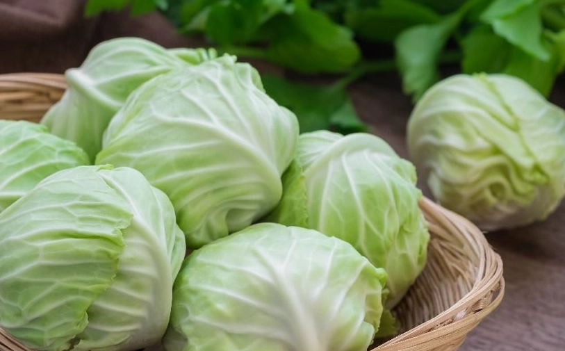 蔬菜隔夜食用安全