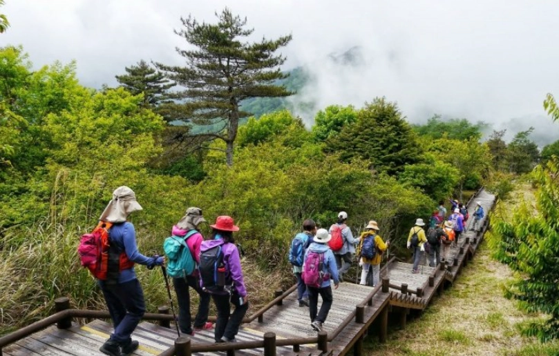 觀霧交通指南 觀霧交通指南