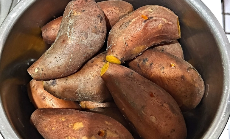 蒸地瓜電鍋方法