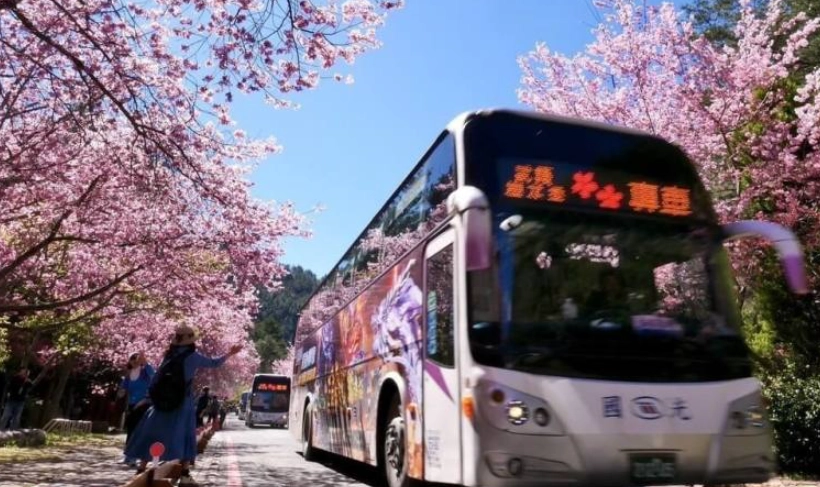 宜蘭賞櫻 宜蘭賞櫻