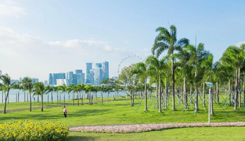 深圳一日遊攻略