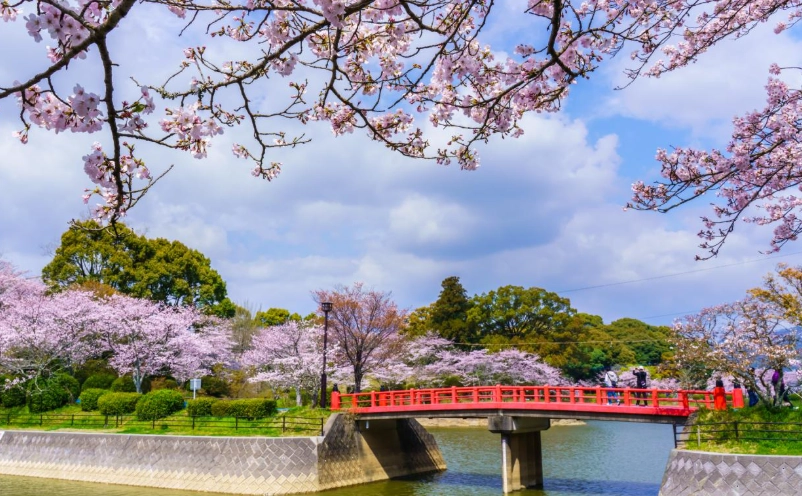 福岡景點 福岡景點