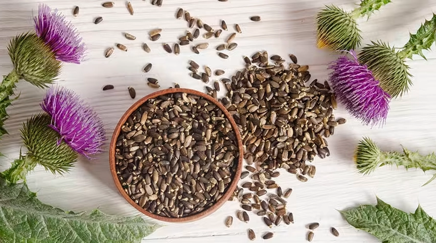 水飛薊保肝 水飛薊保肝