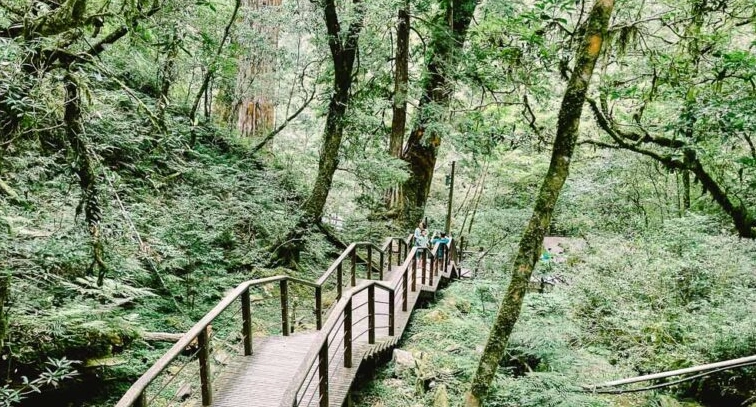 拉拉山步道長度 拉拉山步道長度