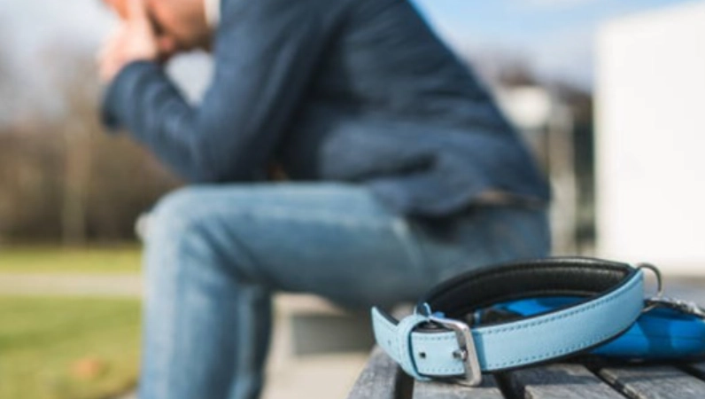 寵物離世心理調適 寵物離世心理調適