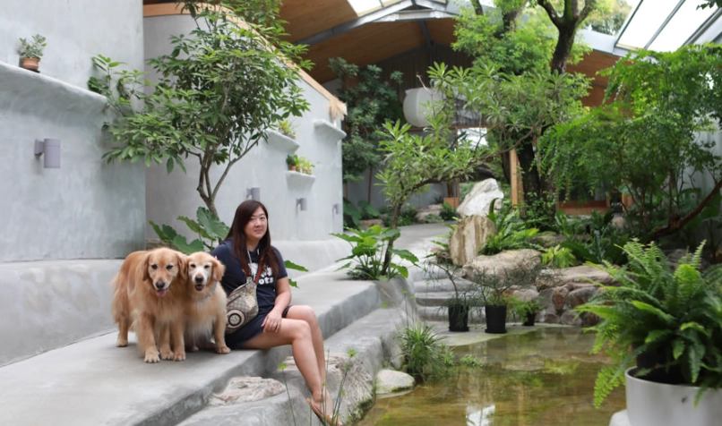 宜蘭室內寵物友善