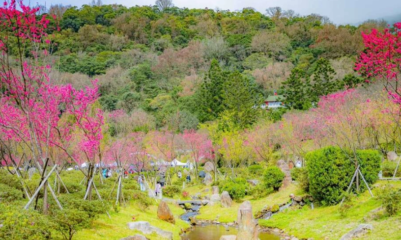 元宵節後清理 元宵節後清理