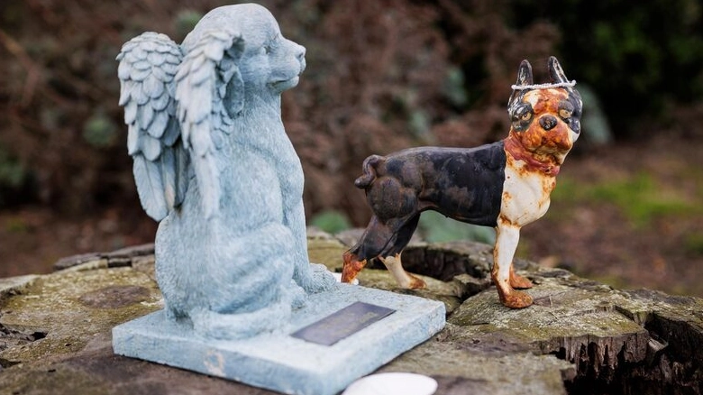 如何走出喪寵之痛 如何走出喪寵之痛