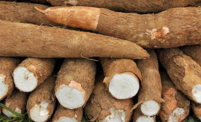 木薯粉是什麼做的