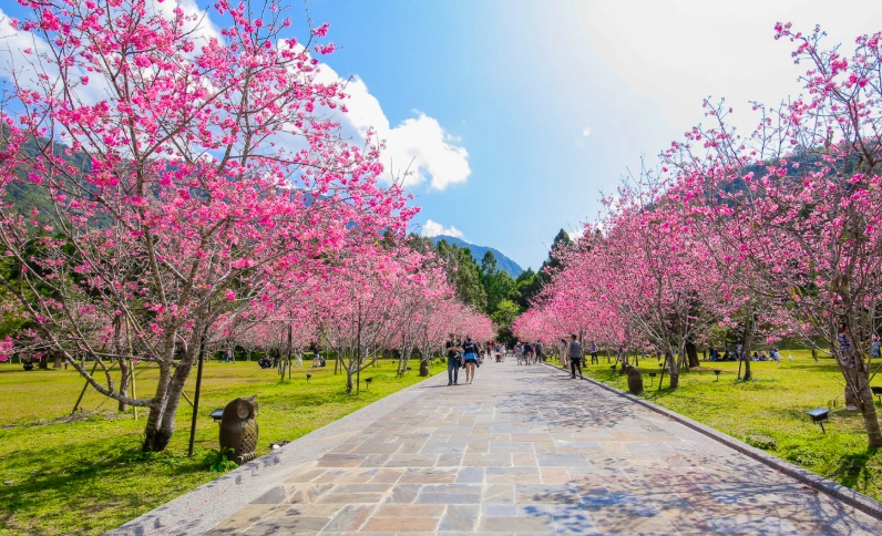 元宵節過後活動 元宵節過後活動