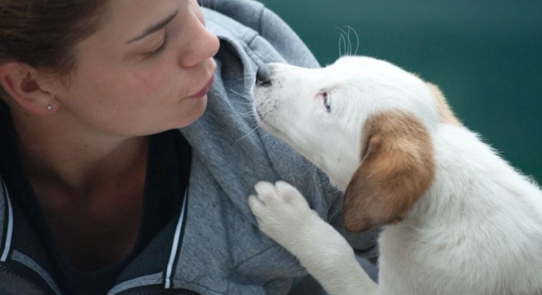 如何走出喪寵之痛 如何走出喪寵之痛
