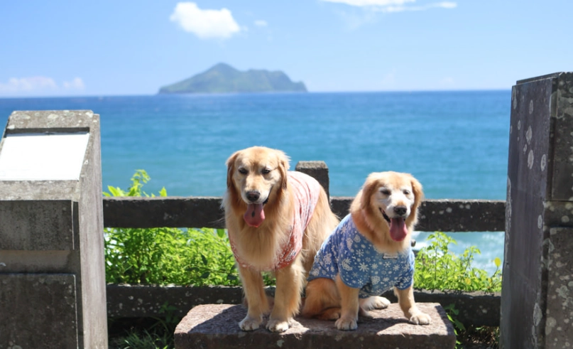 宜蘭帶寵物旅遊 宜蘭帶寵物旅遊