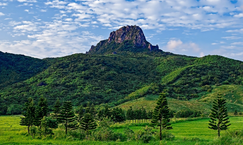 元宵節裝飾處理 元宵節裝飾處理