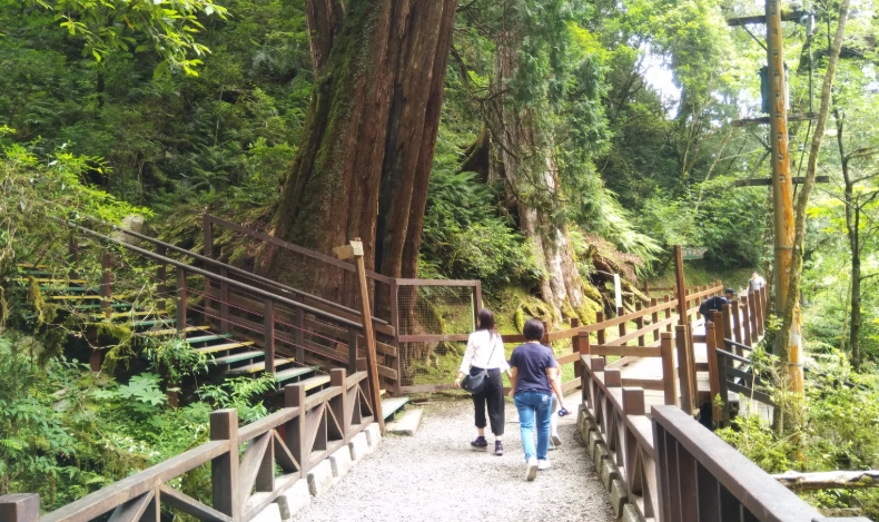 拉拉山步道長度 拉拉山步道長度