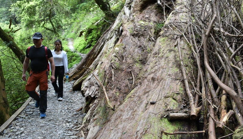 拉拉山徒步攻略 拉拉山徒步攻略