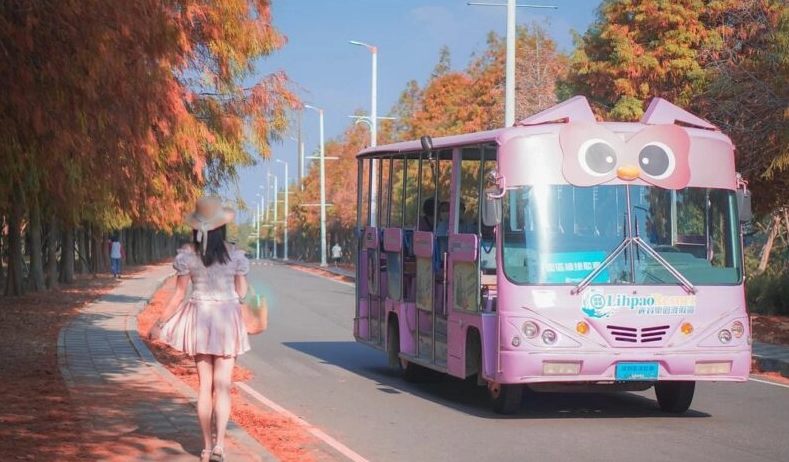 到麗寶樂園交通