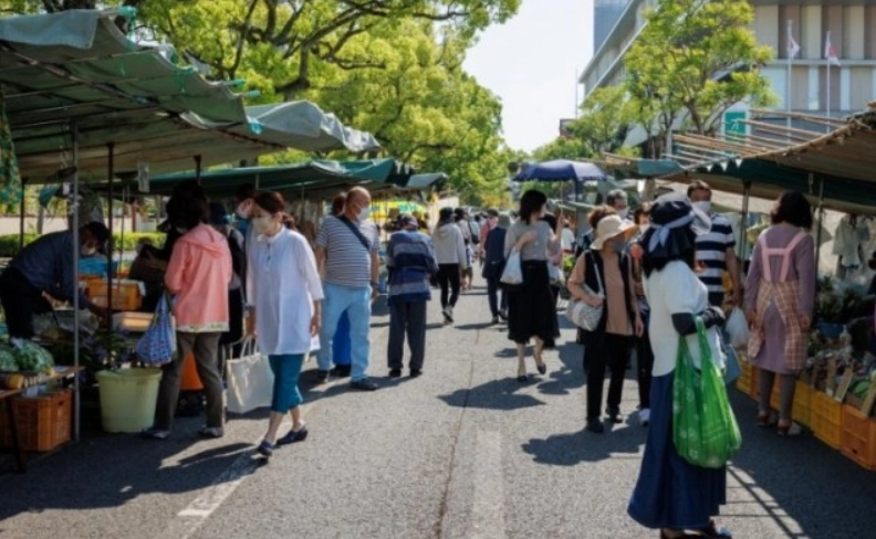 日本高知交通方式 日本高知交通方式