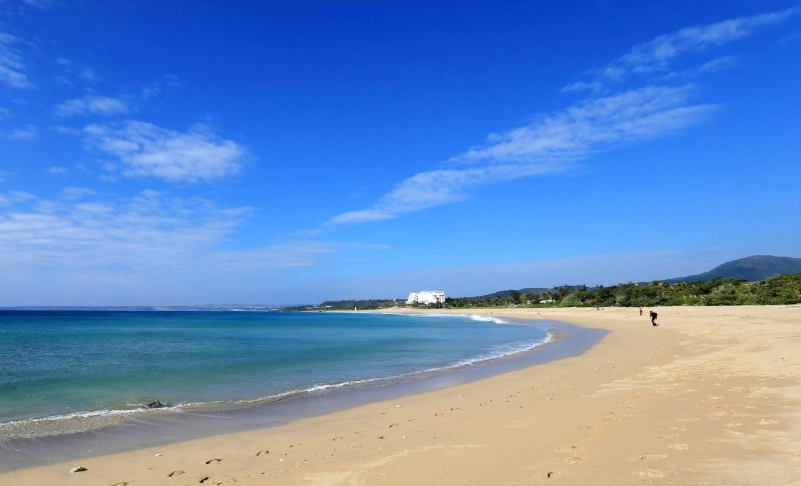 台灣自由行 台灣自由行