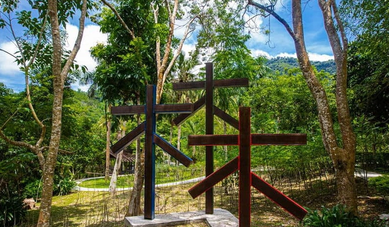 森林遊樂區 特色