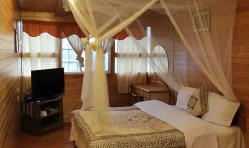 觀霧住宿 觀霧住宿