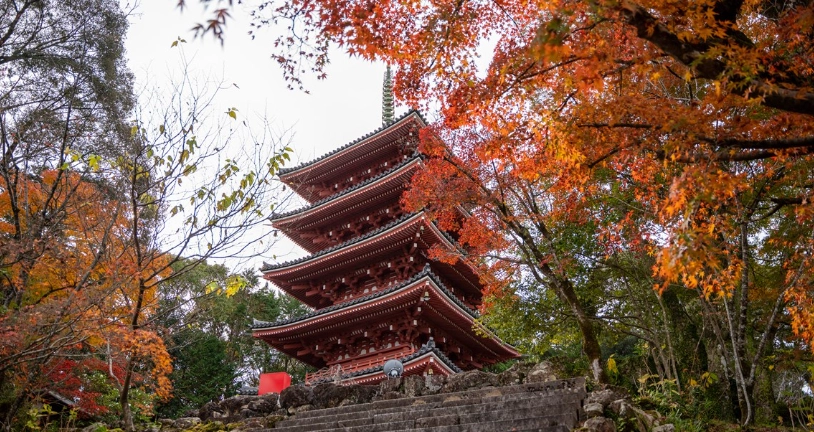 高知自由行規劃