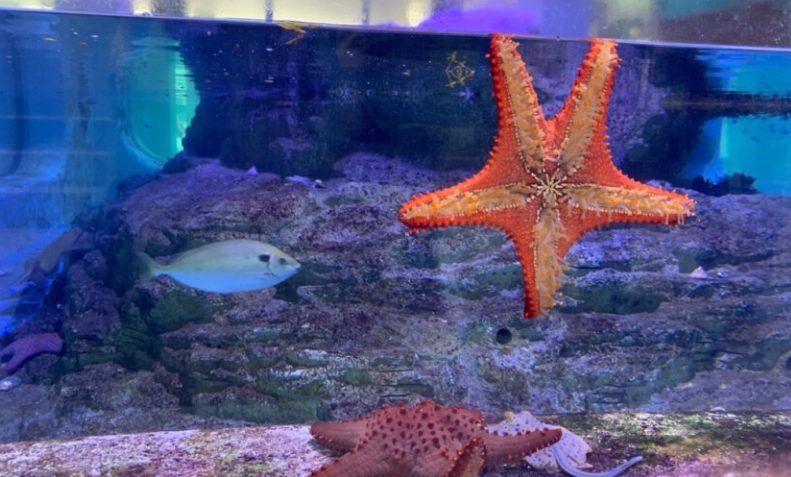 海洋科技博物館 海洋科技博物館