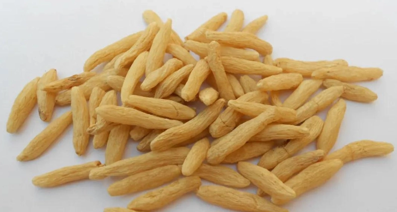 麥冬副作用 麥冬副作用