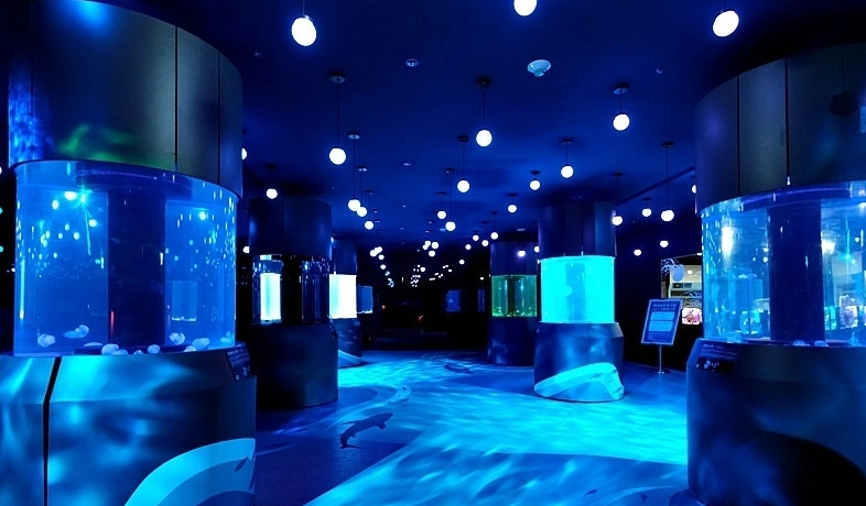 基隆海科館 基隆海科館