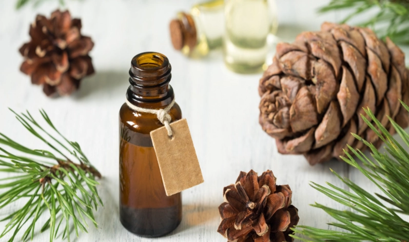 精油替代方案 精油替代方案