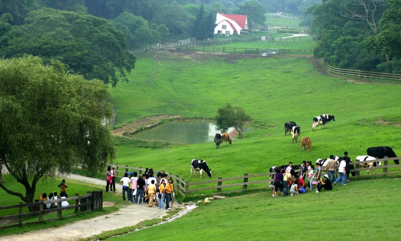 苗栗適合長輩的景點