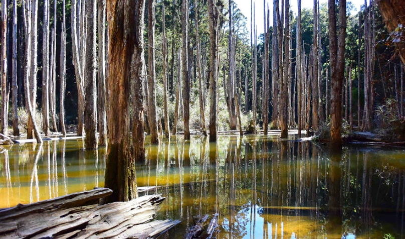 南投三天兩夜 南投三天兩夜