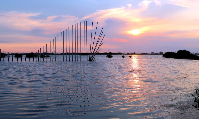 雲林海線一日遊